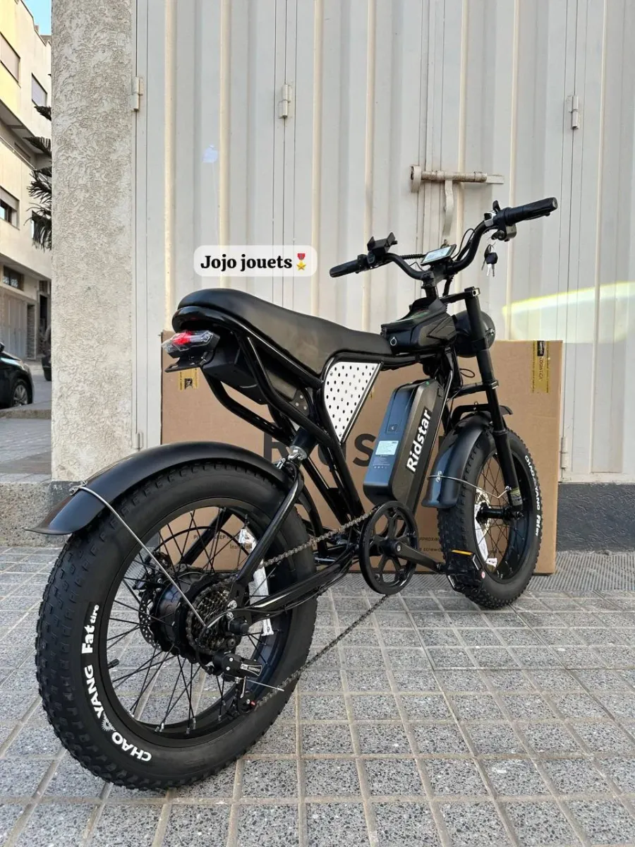 Vélo Électrique Harley RidStar Q20 Mini