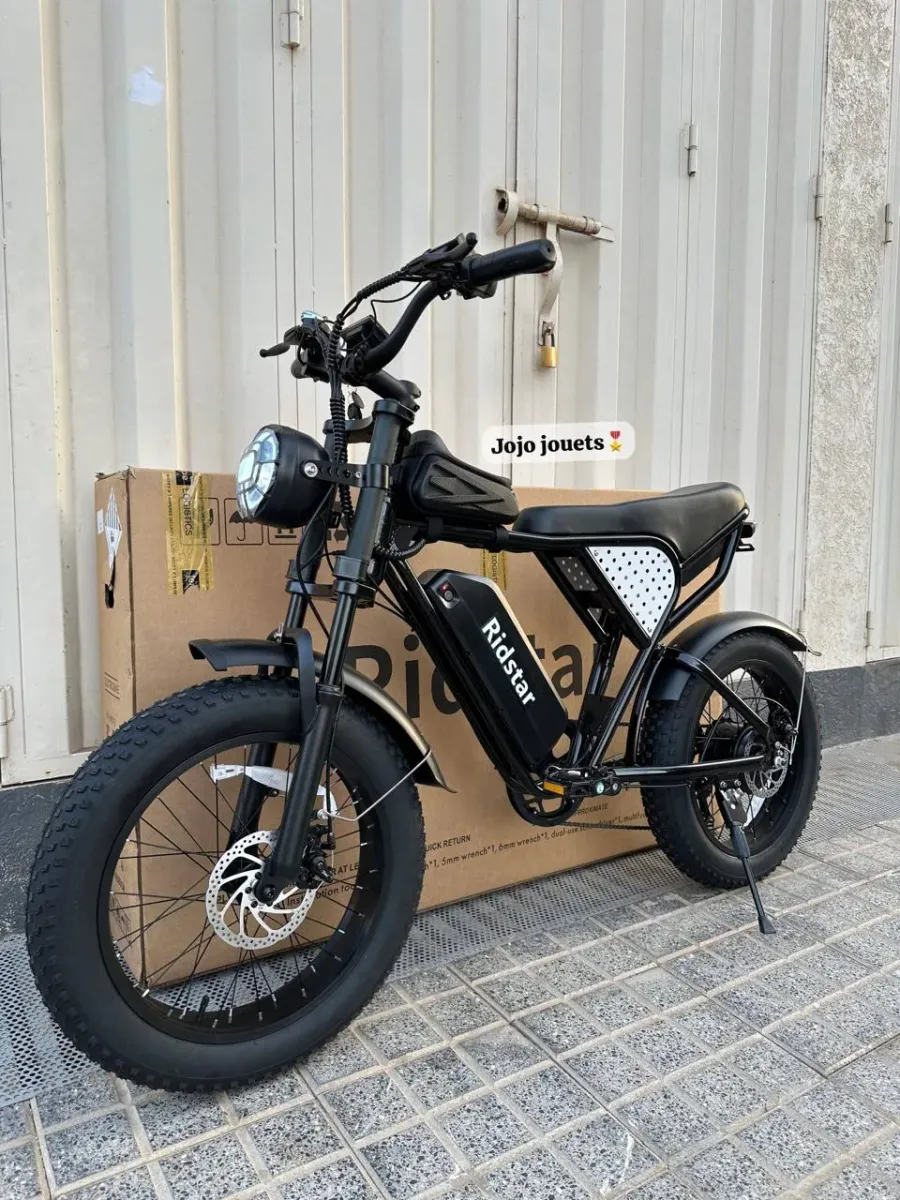 Vélo Électrique Harley RidStar Q20 Mini 2
