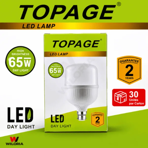 Lampe LED TOPAGE 65W – Économie d’énergie jusqu’à 80%